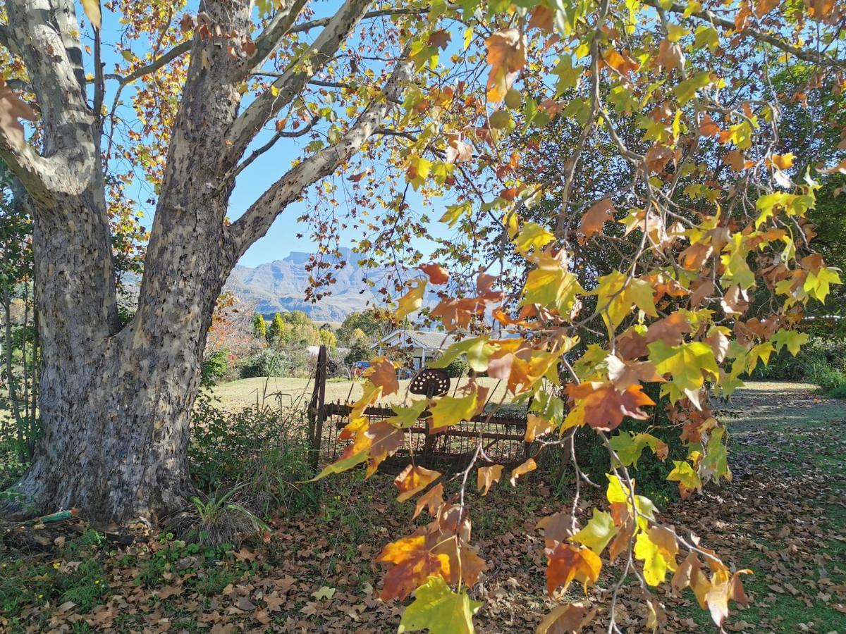 Swallowfield Rondavels Champagne Valley المظهر الخارجي الصورة