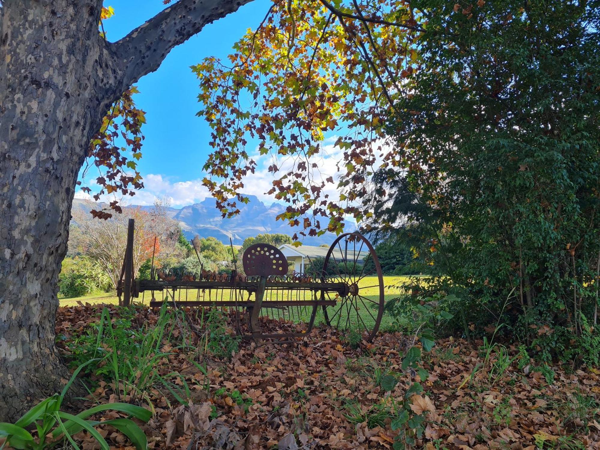 Swallowfield Rondavels Champagne Valley المظهر الخارجي الصورة